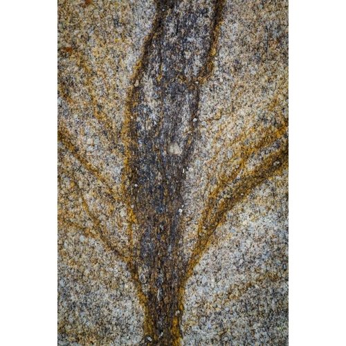 California, Alabama Hills Close-up of rock stain